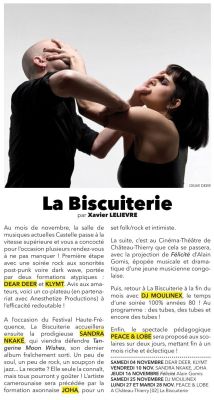 Coupure de presse — Illico!, Novembre 2017 : Dear Deer, Sandra Nkaké, programmation